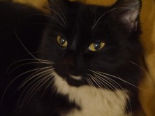 ������ :*