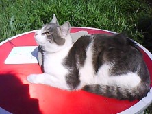 �������.