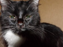 ������ :*