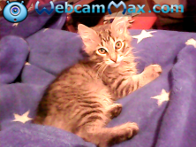 ����� ������