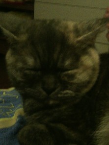 �������