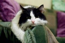 �������