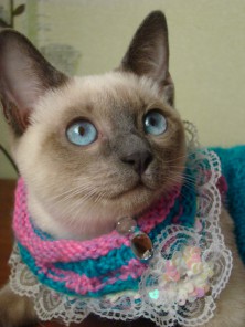 ��������� ���������