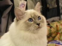 �������