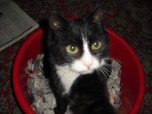 ������� �� ��������