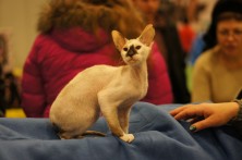 ������ ���� ����