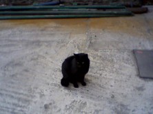 ׸������