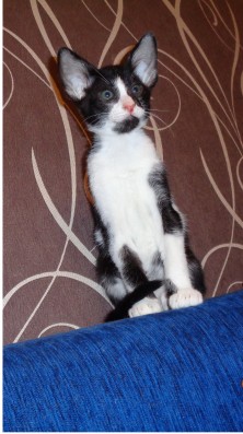 ������ ���� ���� ����