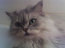 ������� ������ �������������