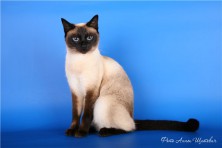 �� C����� ���������