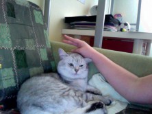 ���������