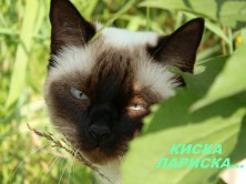 �������...