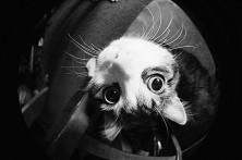 ����� ������