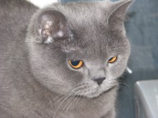 ���-�����