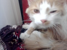 �������