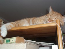 �������