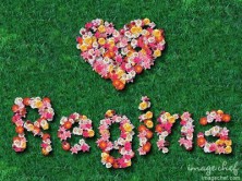 ������  ��������