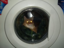 �������� �������� ����������