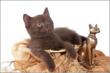 �����  ������