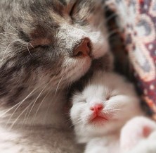 �������� kristy_space ������