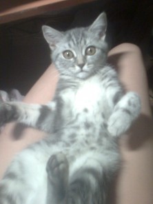 ��� �������� ����������