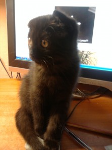 �˸���� =))) ���������))) �������