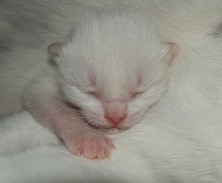 �����-��