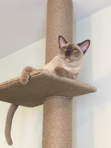 Nick NickSpirin Spirin