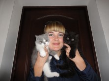 ���� kiti ������