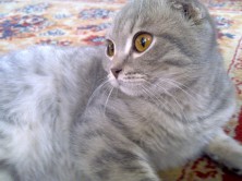 ��� ��� �