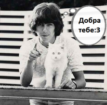 �����  �������