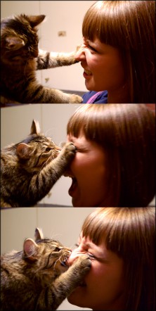 ����� La Perla Negra �������