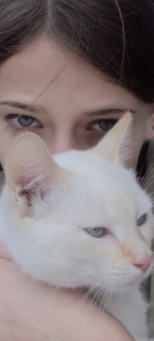 �������� ������ ��������