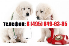 ��������� vetklinikmsk ������