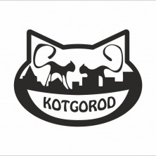 ���� ����_��������