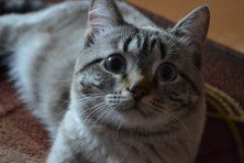 ����� @@@ ��������