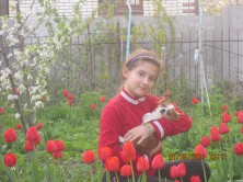 ��������  �������