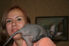 ����� Msmia �����������