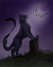 ������ BlackCat ��������