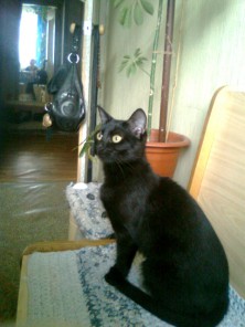 �������  ����������