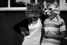 �������� ����� ��������