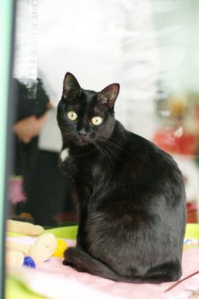 ����-�����