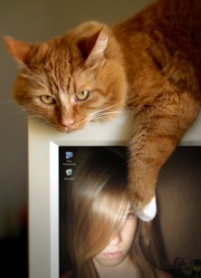 ���  ����������